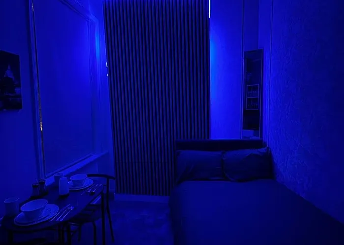 Cozy Studio Flat Central London